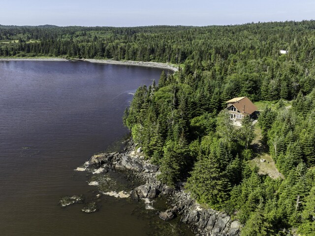 69 Jims Head Rd, Lubec, ME 04652 - aerial view of property's location featuring a nearby body of water