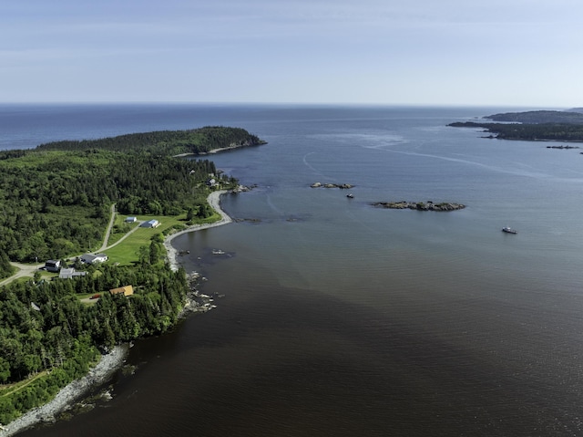 69 Jims Head Rd, Lubec, ME 04652 - aerial view of property and surrounding area with a large body of water