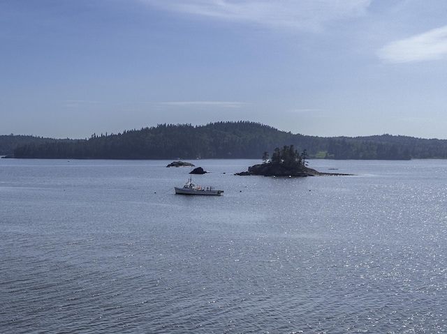 69 Jims Head Rd, Lubec, ME 04652 - water view featuring a heavily wooded area