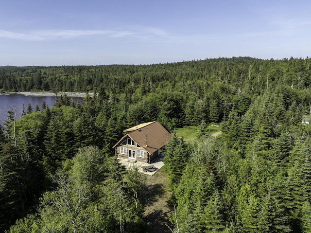 69 Jims Head Rd, Lubec, ME 04652 - aerial view of property and surrounding area with a heavily wooded area and a large body of water