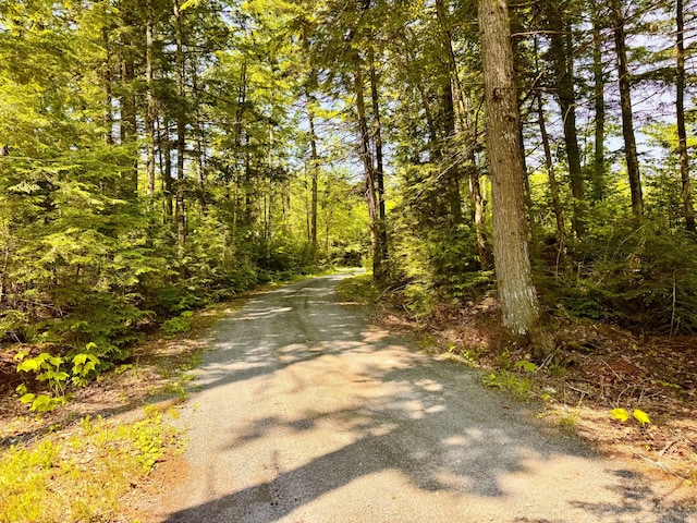 20 Knights Landing Rd, Lake View Plt, ME 04414 - photo 121