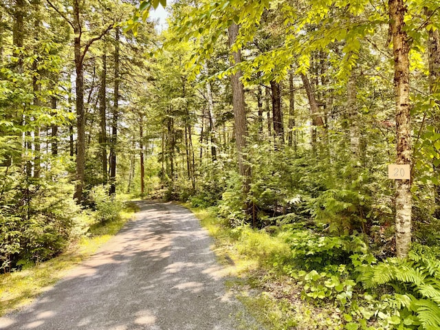 20 Knights Landing Rd, Lake View Plt, ME 04414 - photo 122