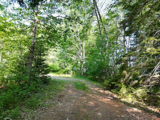 LOT39 SW Brook Ln, Beddington, ME 04622 - photo 15