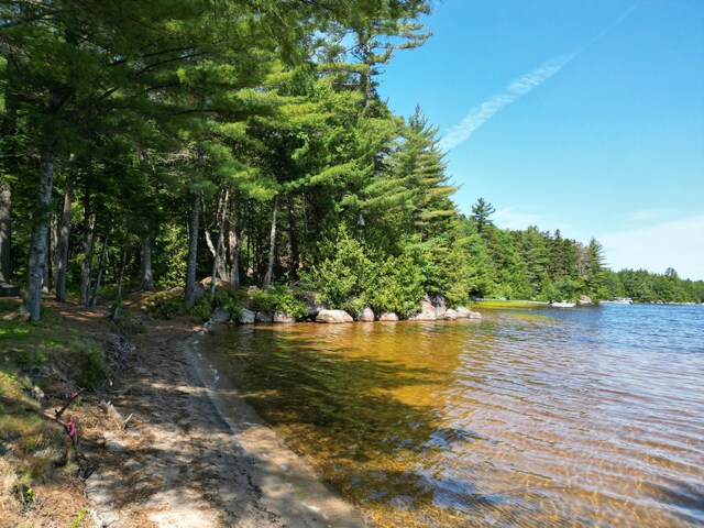 LOT39 SW Brook Ln, Beddington, ME 04622 - photo 19