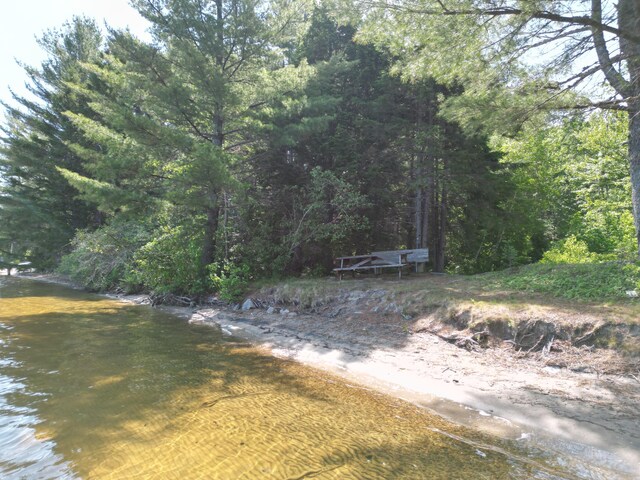 LOT39 SW Brook Ln, Beddington, ME 04622 - photo 20