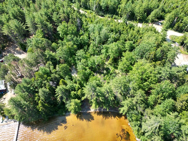 LOT39 SW Brook Ln, Beddington, ME 04622 - photo 25