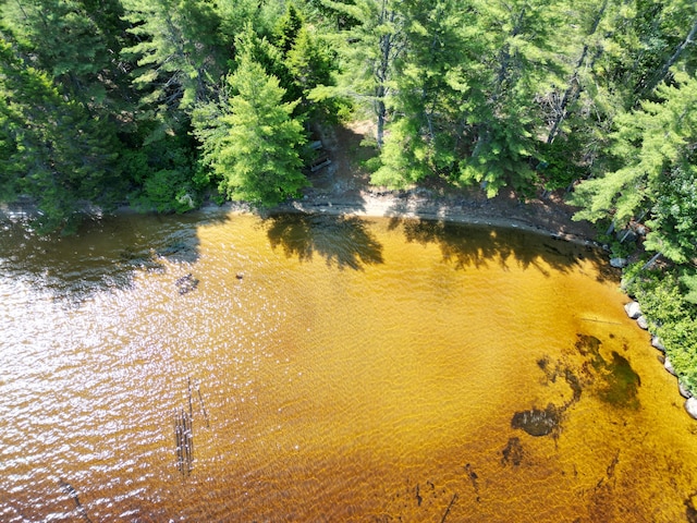 LOT39 SW Brook Ln, Beddington, ME 04622 - photo 4