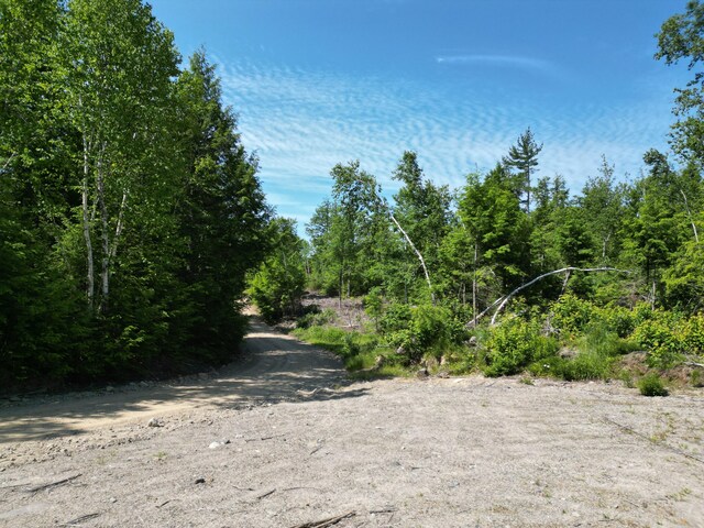 LOT39 SW Brook Ln, Beddington, ME 04622 - photo 8