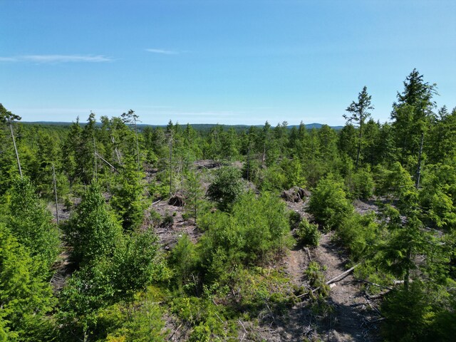 LOT39 SW Brook Ln, Beddington, ME 04622 - photo 9