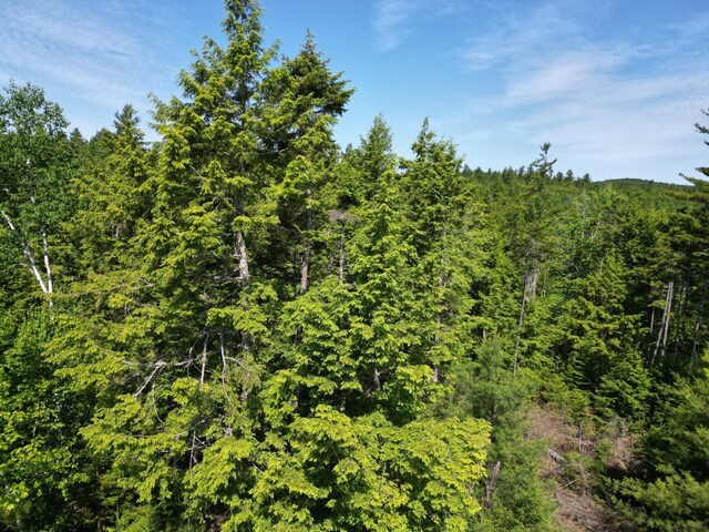 LOT39 SW Brook Ln, Beddington, ME 04622 - photo 10