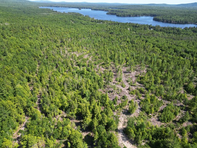 LOT39 SW Brook Ln, Beddington, ME 04622 - photo 11