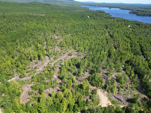 LOT39 SW Brook Ln, Beddington, ME 04622 - photo 26