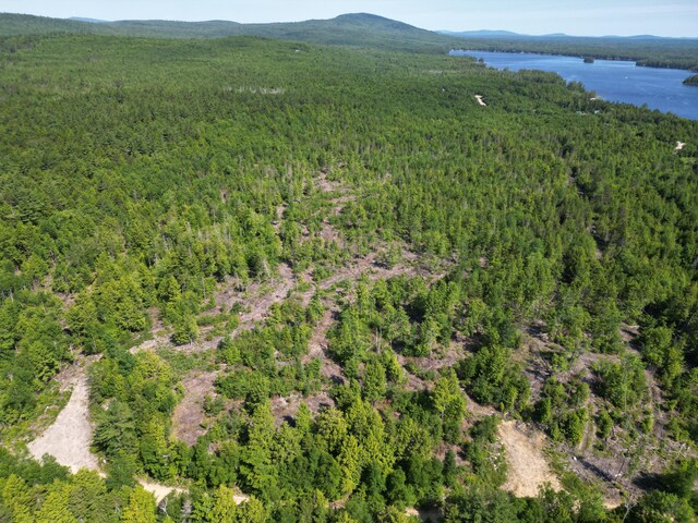 LOT39 SW Brook Ln, Beddington, ME 04622 - photo 27