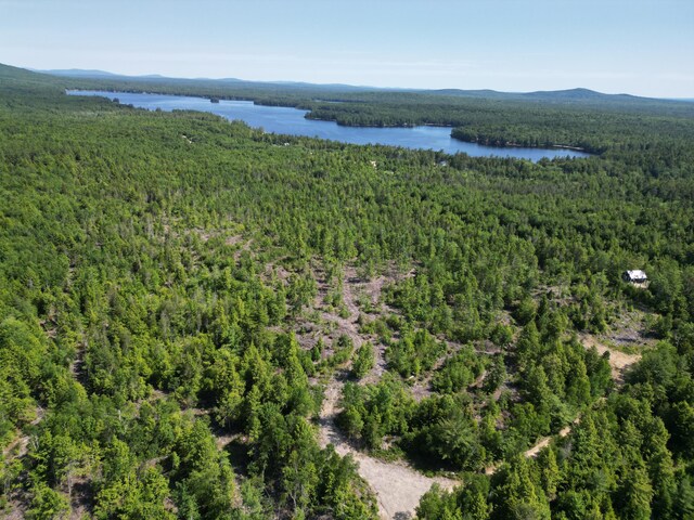 LOT39 SW Brook Ln, Beddington, ME 04622 - photo 3