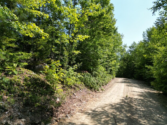 LOT39 SW Brook Ln, Beddington, ME 04622 - photo 13