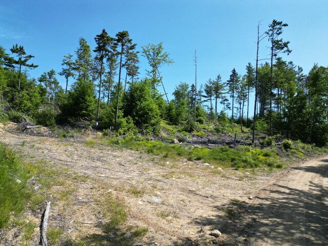 LOT39 SW Brook Ln, Beddington, ME 04622 - photo 14