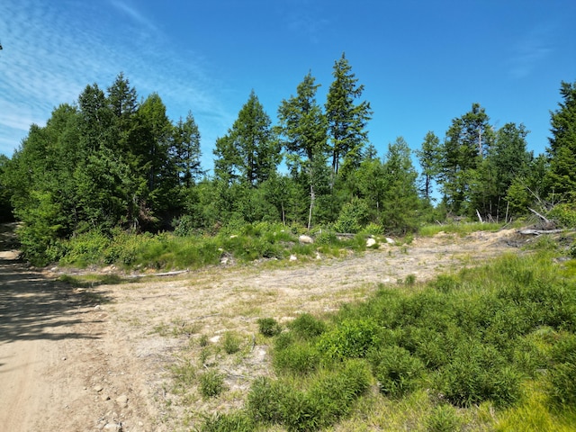 LOT39 SW Brook Ln, Beddington, ME 04622 - photo 2