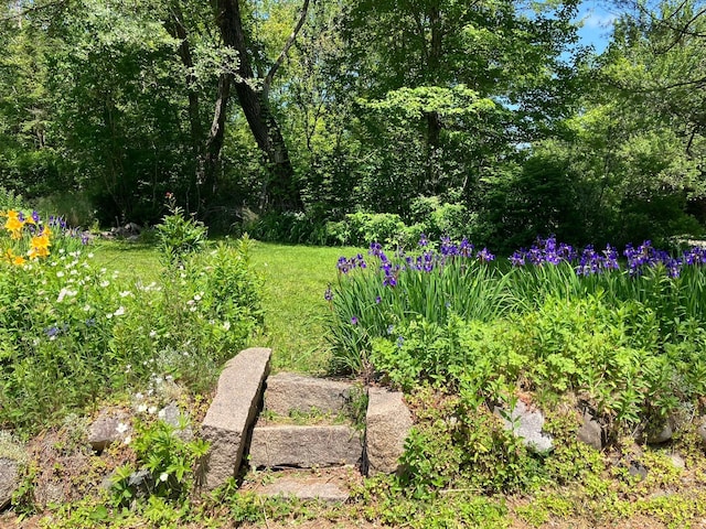 363 Oak Point Rd, Trenton, ME 04605 - view of yard