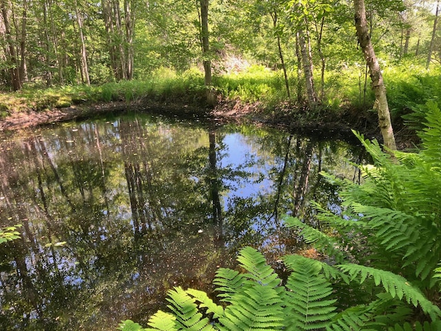 363 Oak Point Rd, Trenton, ME 04605 - water view