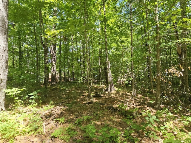 158 Park Ln, Windsor, ME 04363 - photo 28