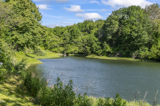 16 Christensen Ln, Kennebunk, ME 04043 - water view with a forest