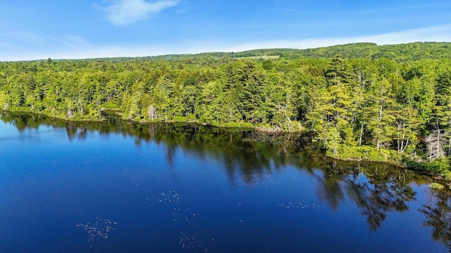 230 Beaver Ridge Rd, Palermo, ME 04354