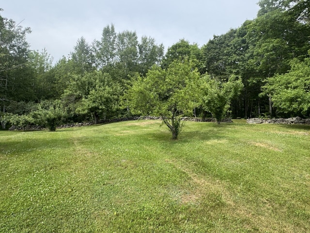 71 Garland Rd, Dixmont, ME 04932 - view of green lawn