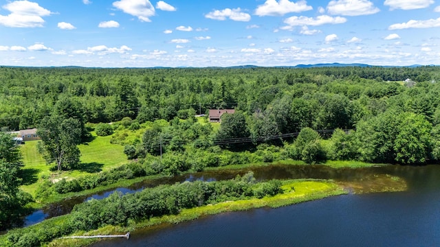 135 Bonny Eagle Rd, Hollis, ME 04042 - photo 15