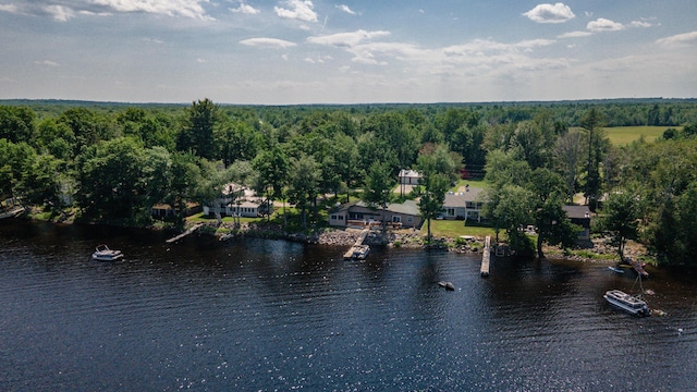 26 Lester Ln, Burnham, ME 04922 - photo 45