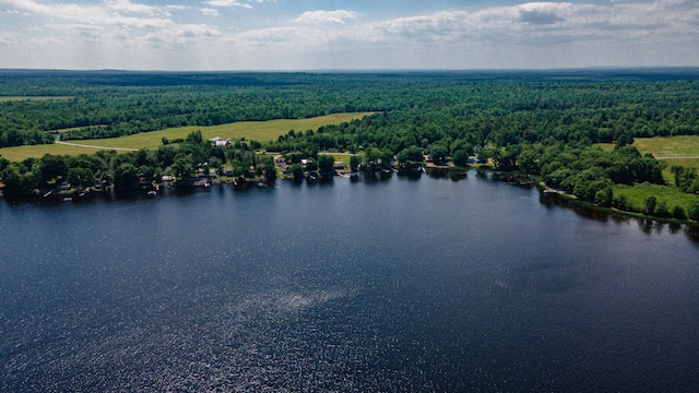 26 Lester Ln, Burnham, ME 04922 - photo 47