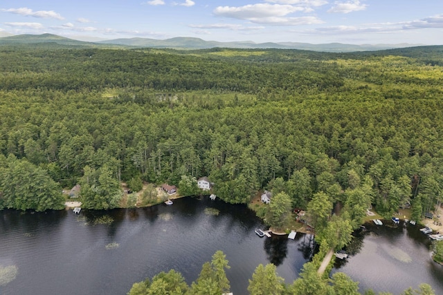 0 Whitehouse Rd, Newfield, ME 04095 - photo 2