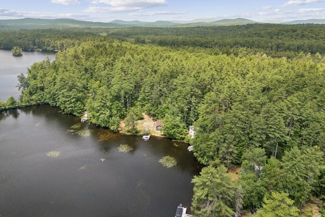 0 Whitehouse Rd, Newfield, ME 04095 - photo 4