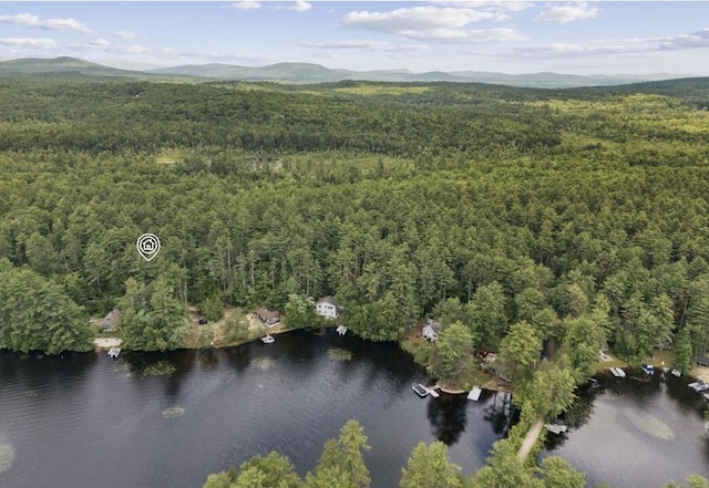 0 Whitehouse Rd, Newfield, ME 04095 - photo 1