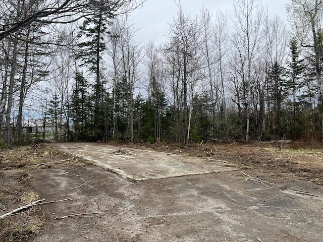 443 Caribou Rd, Presque Isle, ME 04769 - photo 28