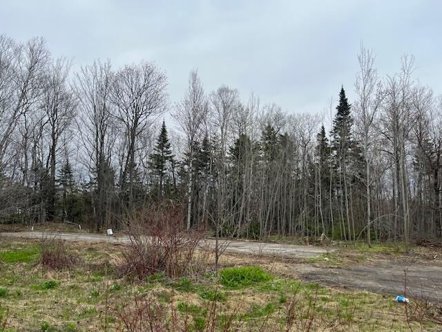 443 Caribou Rd, Presque Isle, ME 04769 - photo 29