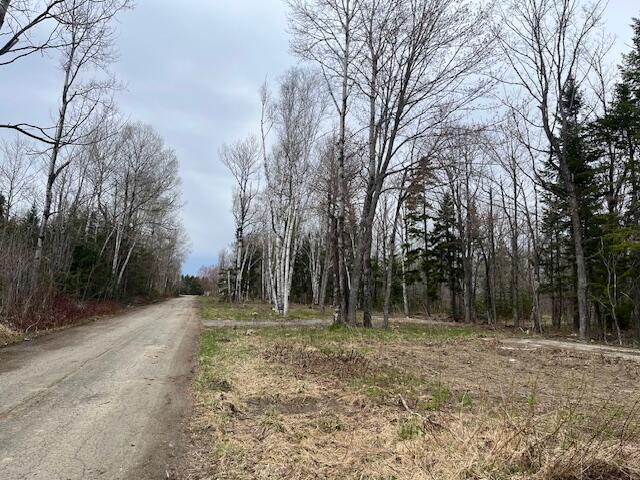 443 Caribou Rd, Presque Isle, ME 04769 - photo 32