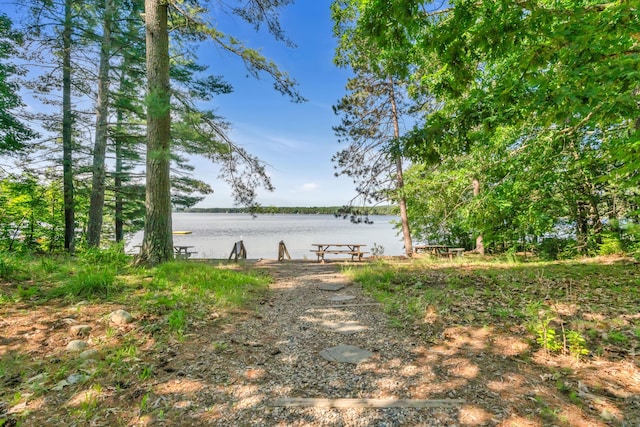233 Cedar Dr, Shapleigh, ME 04076 - photo 33
