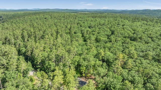 233 Cedar Dr, Shapleigh, ME 04076 - photo 39