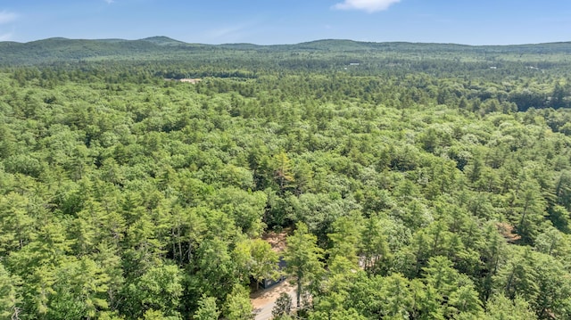 233 Cedar Dr, Shapleigh, ME 04076 - photo 40