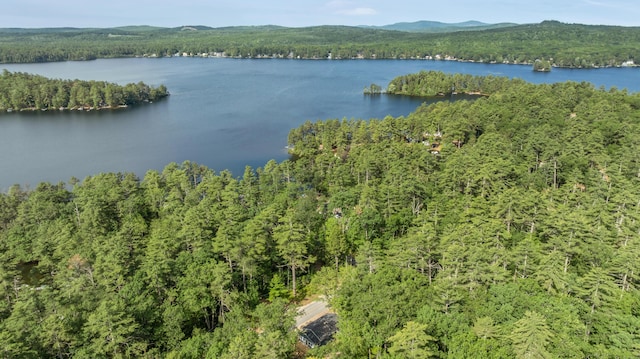233 Cedar Dr, Shapleigh, ME 04076 - photo 41