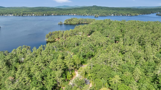233 Cedar Dr, Shapleigh, ME 04076 - photo 42