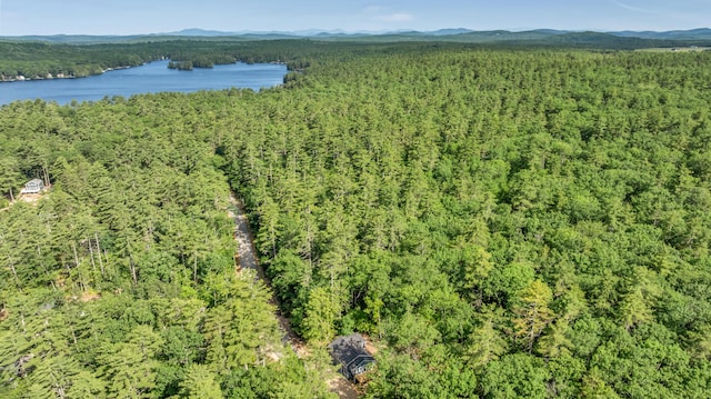 233 Cedar Dr, Shapleigh, ME 04076 - photo 43