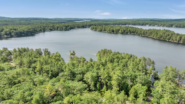 233 Cedar Dr, Shapleigh, ME 04076 - photo 44
