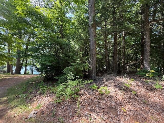15 Savages Path, Manchester, ME 04351 - photo 9