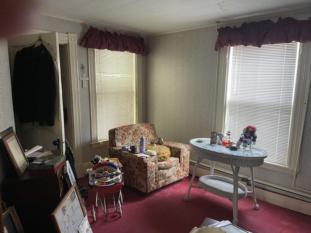233 Medawaska Ave, Pittsfield, ME 04967 - photo 8