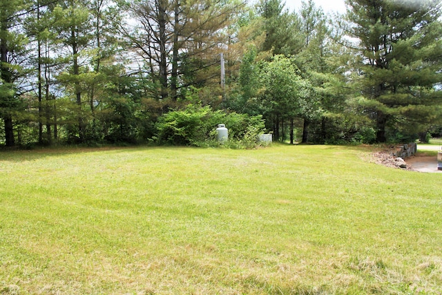 94 Blaisdell Rd, Newport, ME 04953 - view of green lawn