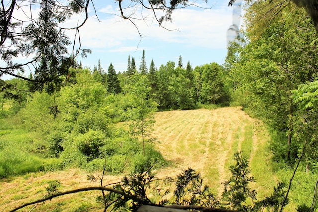 94 Blaisdell Rd, Newport, ME 04953 - view of nature
