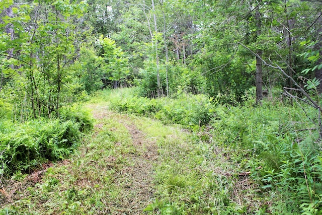 94 Blaisdell Rd, Newport, ME 04953 - view of wooded area