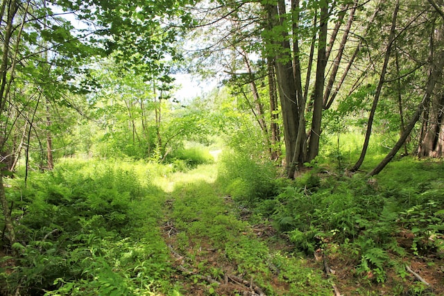 94 Blaisdell Rd, Newport, ME 04953 - view of tree filled area