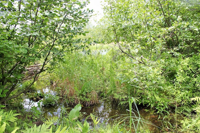 94 Blaisdell Rd, Newport, ME 04953 - view of undeveloped land